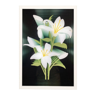 Lilium home decoration led infinity mirror light box