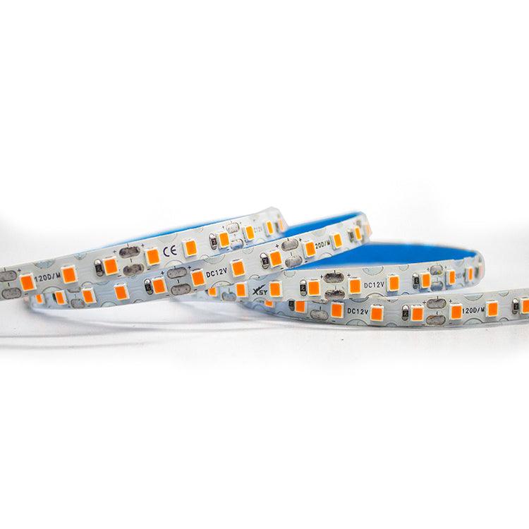 New 12V 120led/m led strips 50Meters/roll IP20